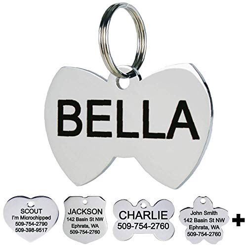 Algopix Similar Product 12 - GoTags Pet ID Personalized Dog and Cat