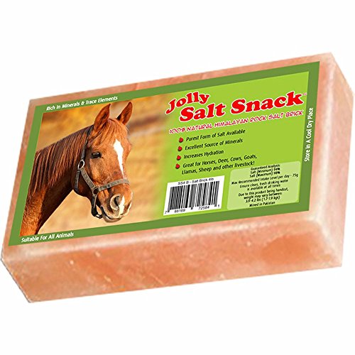 Algopix Similar Product 3 - Horsemens Pride 100 Himalayan Salt