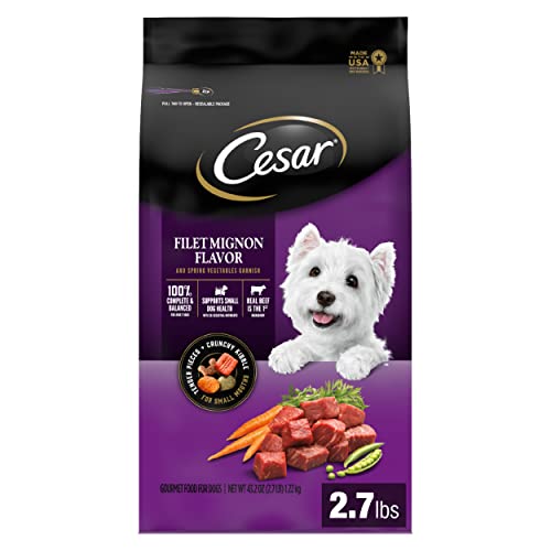 Algopix Similar Product 6 - CESAR Small Breed Dry Dog Food Filet