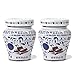 Algopix Similar Product 20 - Fabbri Amarena Cherries In Syrup 81
