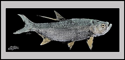 Algopix Similar Product 8 - Realfish Fllor Mat Door Mat Fish Mat