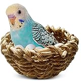 Algopix Similar Product 5 - SunGrow Seagrass Nest for Birds