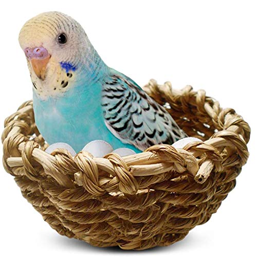 Algopix Similar Product 12 - SunGrow Seagrass Nest for Birds