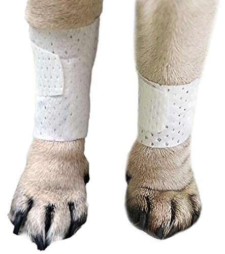 Algopix Similar Product 8 - PawFlex Basic Leg Bandages for Dogs