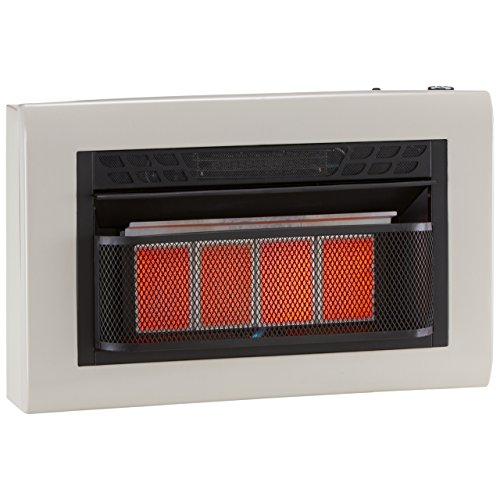 Algopix Similar Product 12 - Cedar Ridge Hearth Dual Fuel Ventless