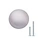 Algopix Similar Product 5 - Amazon Basics Round Cabinet Knob