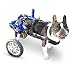 Algopix Similar Product 1 - Walkin Wheels Small Dog Wheelchair