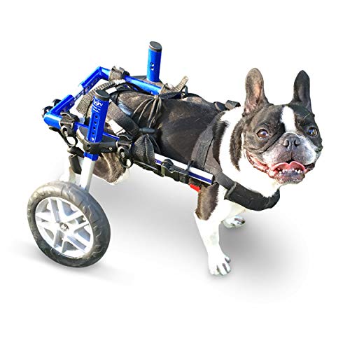 Algopix Similar Product 17 - Walkin Wheels Small Dog Wheelchair