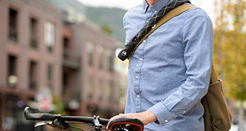 Algopix Similar Product 20 - RockyMounts Hooligan Chain Bicycle Lock