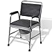 Algopix Similar Product 14 - vidaXL Commode Chair Steel Black