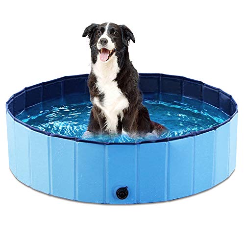 Algopix Similar Product 9 - Jasonwell Foldable Dog Pet Bath Pool