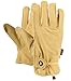 Algopix Similar Product 8 - Reitsport Amesbichler ELT Texas Western