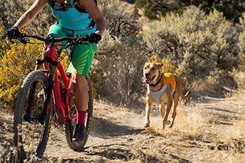 Algopix Similar Product 13 - RUFFWEAR Lightweight Cooling Vest for