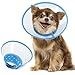 Algopix Similar Product 14 - Vivifying Dog Cones for Small Dogs