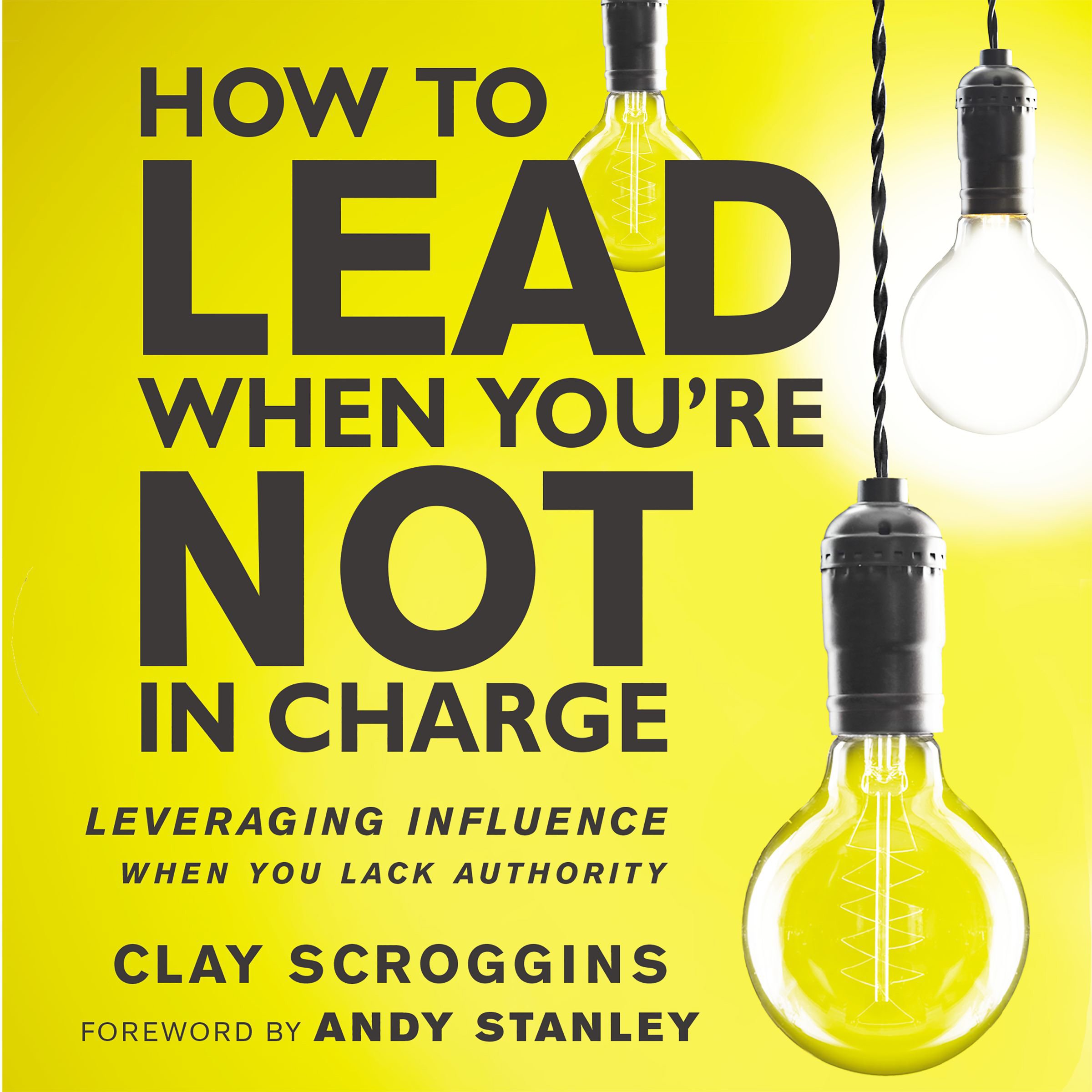 Algopix Similar Product 15 - How to Lead When Youre Not in Charge