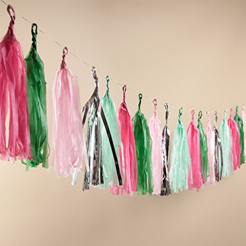 Algopix Similar Product 18 - ANKIT 50 Ft Rainbow Fringe 20 Tassels