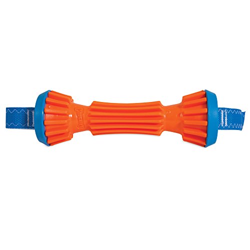 Algopix Similar Product 5 - ChuckIt! Rugged Bumper Dog Toy, Small