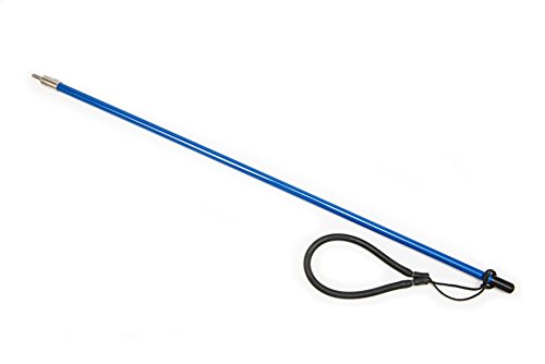 Algopix Similar Product 17 - Innovative Scuba Concepts Pole Spear