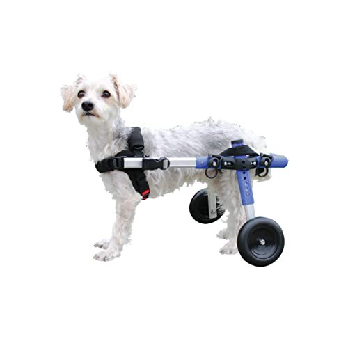 Algopix Similar Product 5 - Walkin Wheels Dog Wheelchair  for