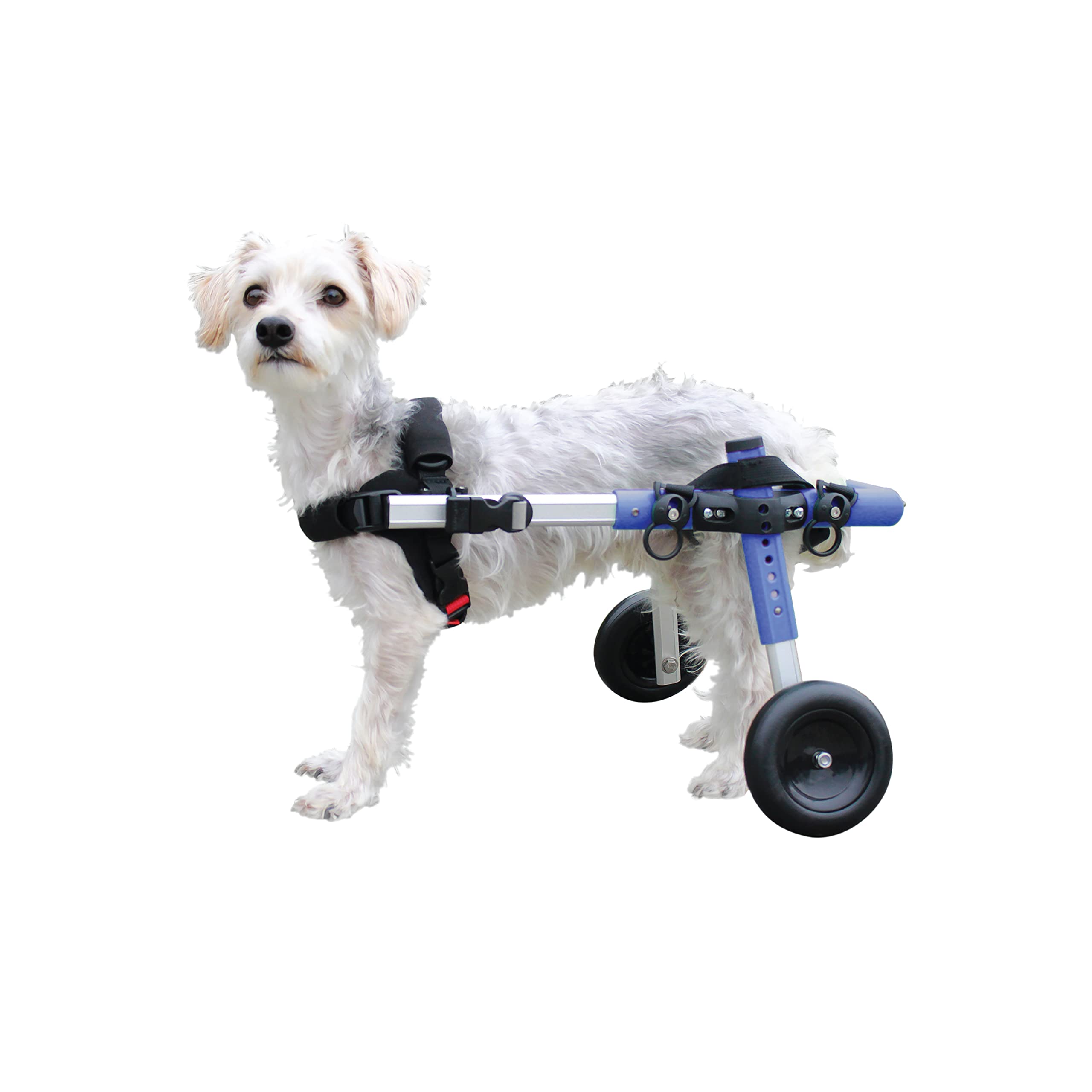 Algopix Similar Product 14 - Walkin Wheels Dog Wheelchair  for