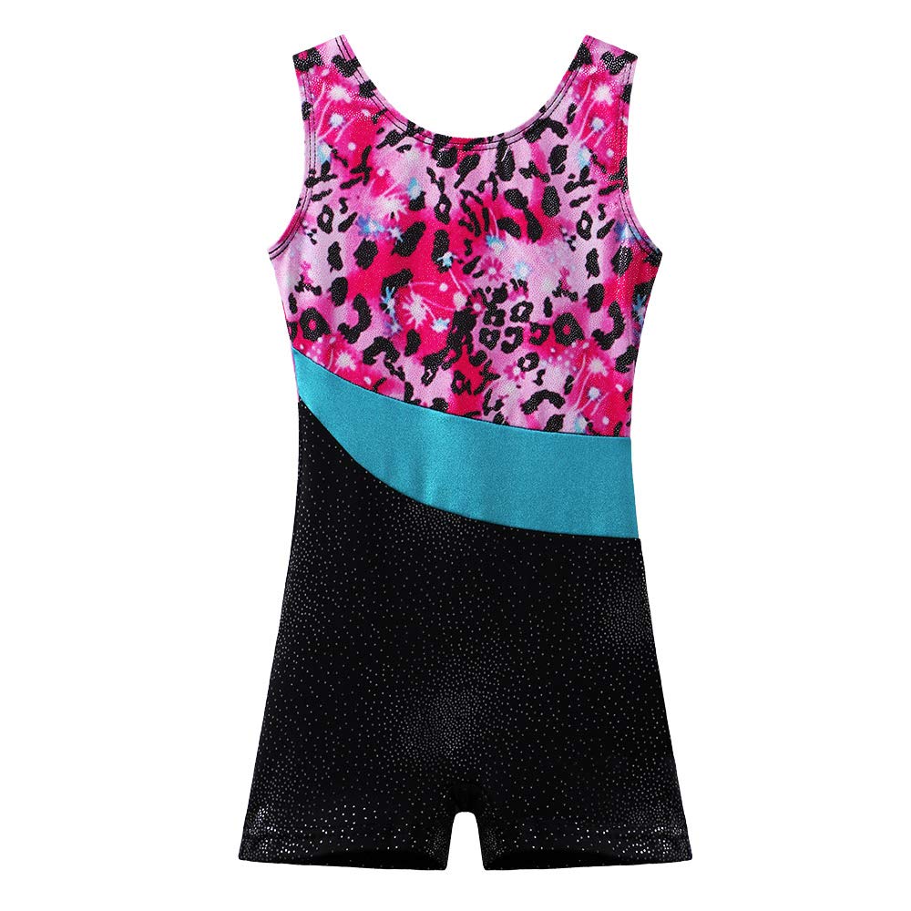 Algopix Similar Product 10 - BAOHULU Leotard for Girls Gymnastics