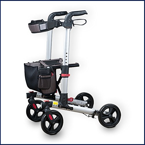 Algopix Similar Product 2 - WheelzAhead Double Foldable Track 30