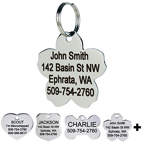 Algopix Similar Product 7 - GoTags Pet ID Personalized Dog and Cat