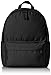 Algopix Similar Product 13 - Amazon Basics Classic Backpack Black 
