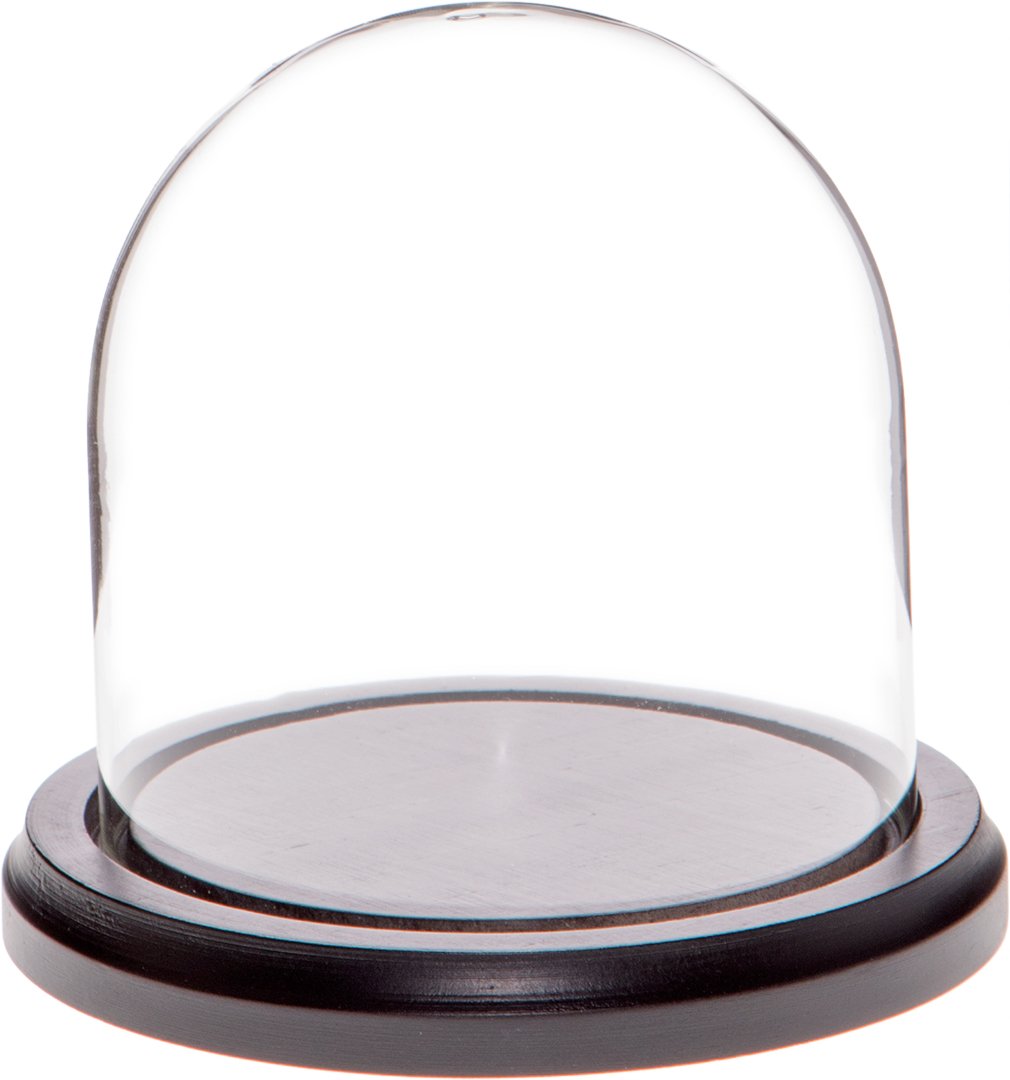 Algopix Similar Product 5 - Plymor 4 x 4 Glass Display Dome