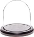 Algopix Similar Product 17 - Plymor 4 x 4 Glass Display Dome