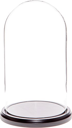 Algopix Similar Product 15 - Plymor 55 x 10 Glass Display Dome