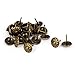 Algopix Similar Product 6 - uxcell 16mm Dia Daisy Upholstery Nail