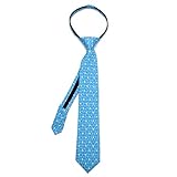 Algopix Similar Product 7 - Chewbacca Dot Blue Boys' Zipper Silk Tie