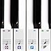 Algopix Similar Product 14 - Color Piano Stickers for Keys