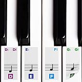 Algopix Similar Product 4 - Color Piano Stickers for Keys