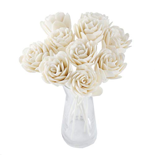 Algopix Similar Product 9 - 10 Damask Rose White Sola Flower Reed