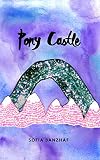Algopix Similar Product 13 - Pony Castle (Kindle Single)