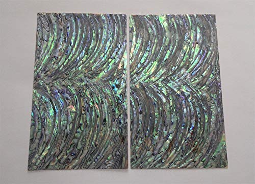 Algopix Similar Product 13 - PAUA RIM Sword abalone shell inlay