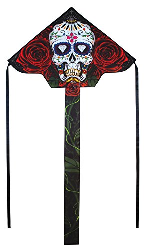 Algopix Similar Product 14 - In the Breeze 45Inch FlyHi Kite