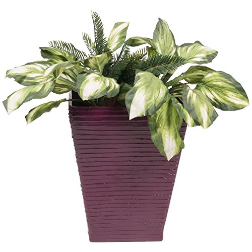 Algopix Similar Product 9 - 