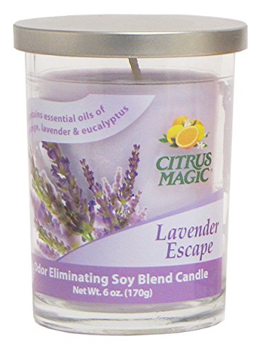 Algopix Similar Product 14 - Citrus Magic Odor Eliminating Soy Blend