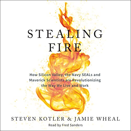 Algopix Similar Product 8 - Stealing Fire How Silicon Valley the