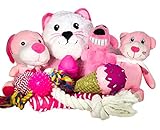 Algopix Similar Product 2 - Wolfe  Sparky Gift Pack of 5 Pink 