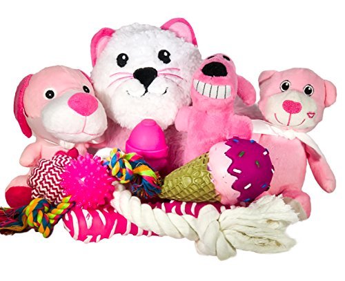 Algopix Similar Product 5 - Wolfe  Sparky Gift Pack of 5 Pink 