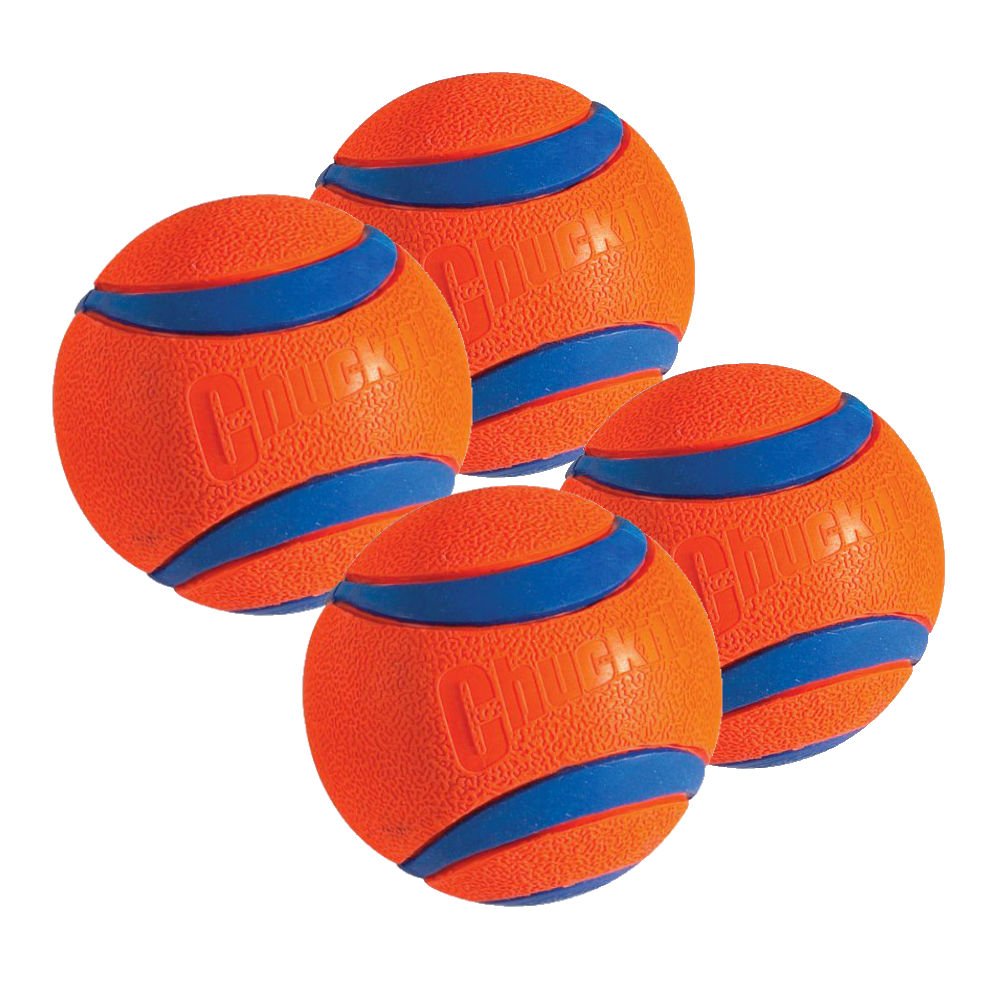 Algopix Similar Product 20 - Chuckit Dog Fetch Toy ULTRA BALL