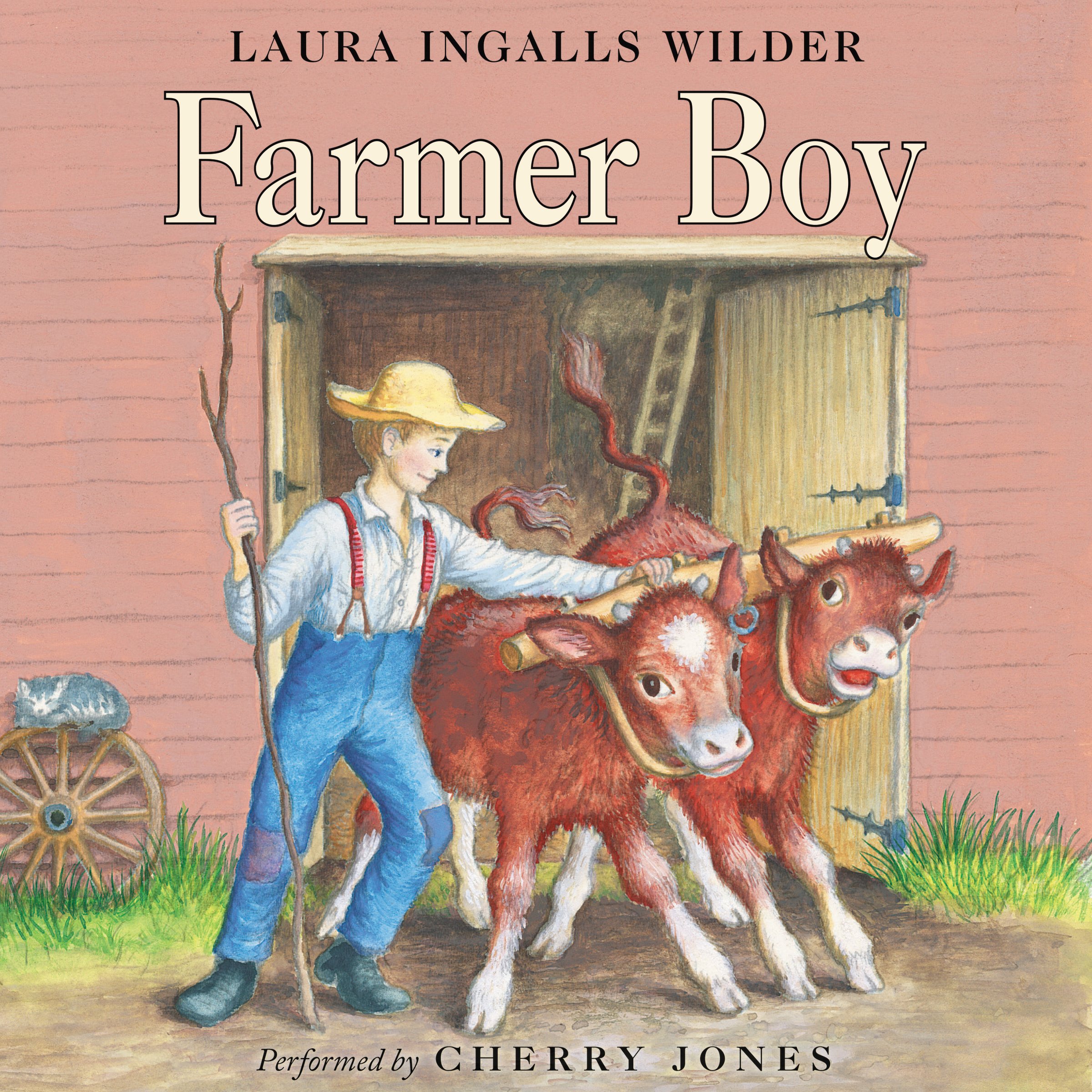 Algopix Similar Product 5 - Farmer Boy: Little House, Book 2