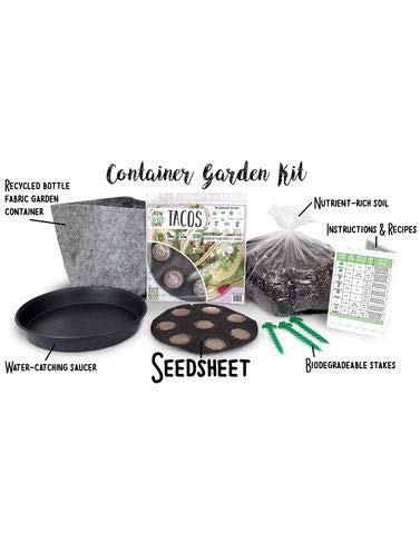 Algopix Similar Product 6 - Grow Your Own Tacos Container Garden Kit