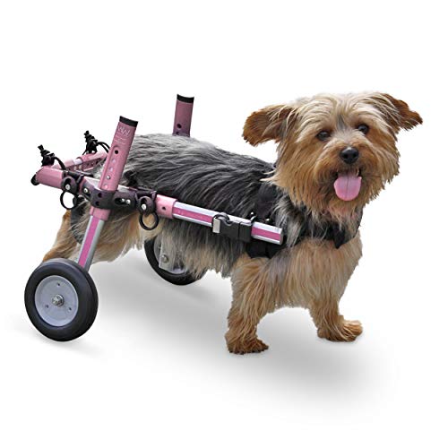 Algopix Similar Product 3 - Walkin Wheels Dog Wheelchair  for
