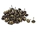 Algopix Similar Product 19 - uxcell 716 Inch Dia Daisy Upholstery