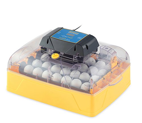Algopix Similar Product 12 - Brinsea Products USAF35C Ovation 28 Eco